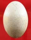ไข่พญากาเผือกสูง 3  หลวงพ่อสนิท วัดลำบัวลอย นครนายก ของบ้าน เก่า หนัก จารเต็ม